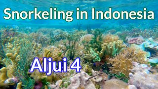 Aljui Pt.4, Raja Ampat - 4K Snorkeling in Indonesia
