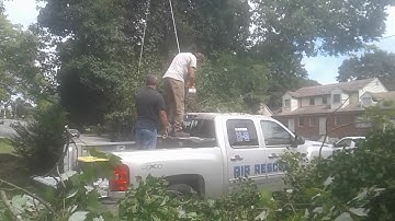S@H Tree Service Roanoke va.