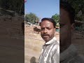 bhedaghat me sarswati ghat maa narmada darshan