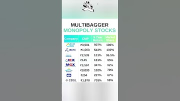 Monopoly multibagger stocks in India #short #monopoly #monopolystocks #multibagger #shortfeed #india