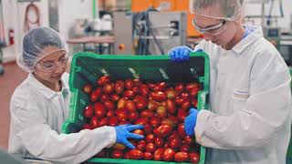 Discover Hands-On Experiences in the College of ACES