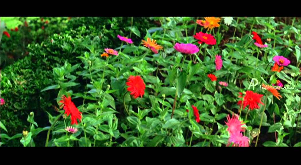 Pathinonnil Vzhalan - Marhazhi Song