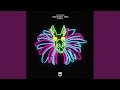 Miniature de la vidéo de la chanson Curious (Chocolate Puma Extended Remix)