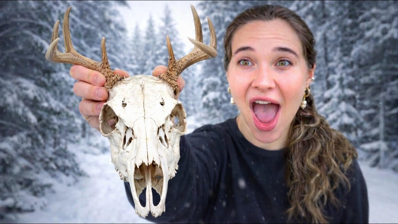 WE FOUND THIS IN THE MOST DANGEROUS WOODS! 