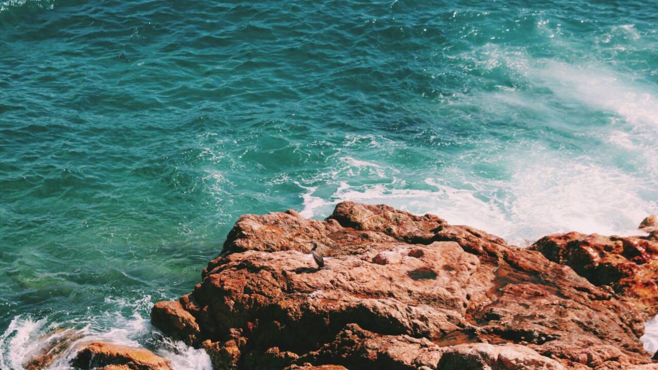 Bastwist ft. CLRFL - Reefed