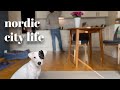 Joy a simple life with a dog  silent vlog norway