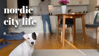 Joy: A simple life with a dog / Silent vlog Norway
