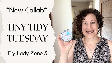 Tiny Tidy Tuesday Collab | Fly Lady Zone 3 | Shoes