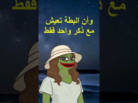 هل تعلم الهدهد إذا غابت انثاه  الشعب الصيني ماله حل جيش الحكيم الضفدع البشري 