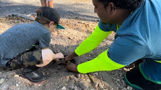 Searching in Holes looking for Egg laying iguanas! Iguana removal Job!