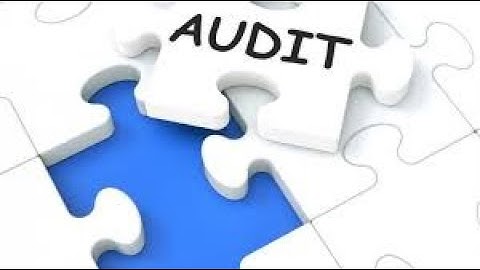 Audit Programme & Audit Note book