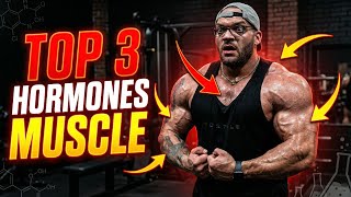 Les 3 Hormones Indispensables En Bodybuilding