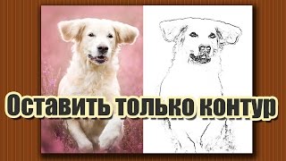 Как из фотографии оставить только контур