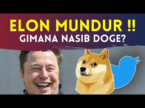 ELON MUSK Mundur dari Twitter !! Gimana Nasib DOGECOIN? CEO Baru Suka DOGE dan SHIB?