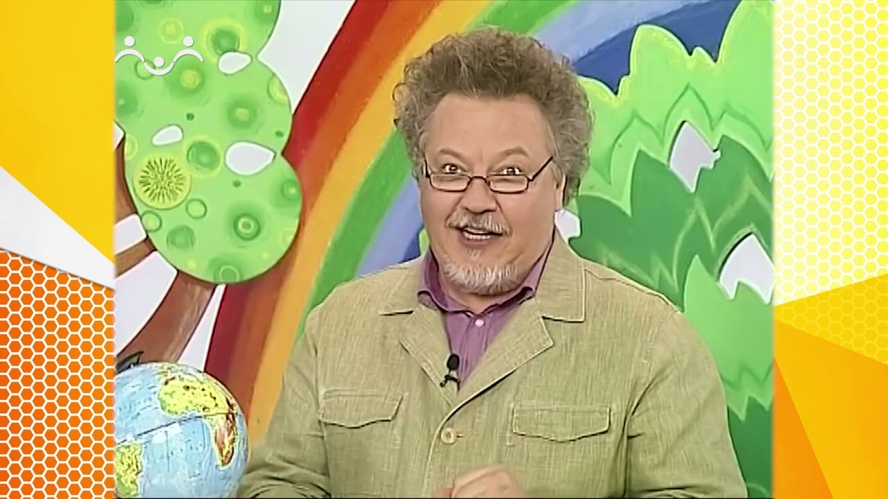 Школа Шишкиного Леса. География. Чили