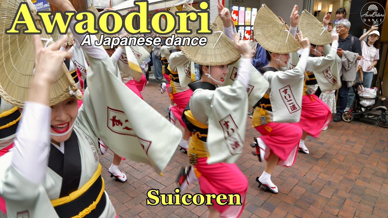 阿波踊り】吹鼓連 吉祥寺阿波おどり (流し踊り1本目) ダイヤ街 2026.7