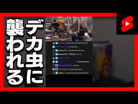 キャンプ配信中にデカい虫に襲われる #Shorts