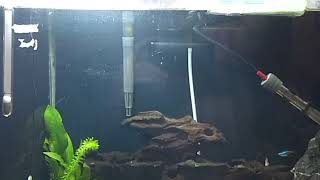 Aqualife Labicon Aplicação