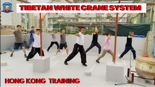 SIFU ARUN | PAK HOK PAI | LAMA KUNG FU | TIBETAN WHITE CRANE | GRULLA BLANCA | LION ROAR | 白鶴派 | 喇嘛派
