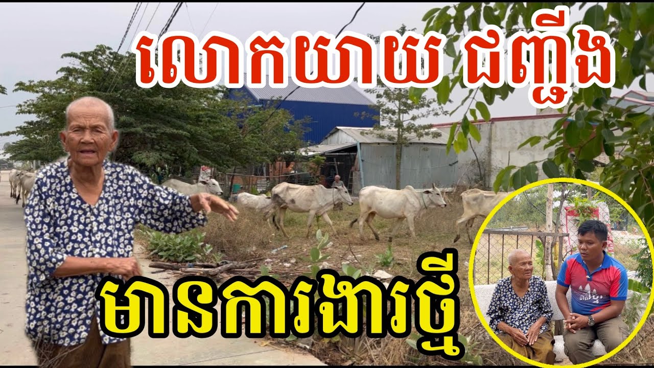 #2975 លោកយាយ ជញ្ជីង មានការងារថ្មី ដោយសារតែ | សម្បត្តិជន 