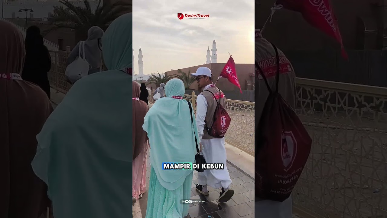 Кто пробовал фрикадельки в финиковом саду Медины?