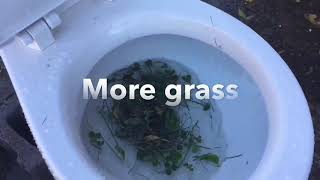 Will it flush stuff Part 2