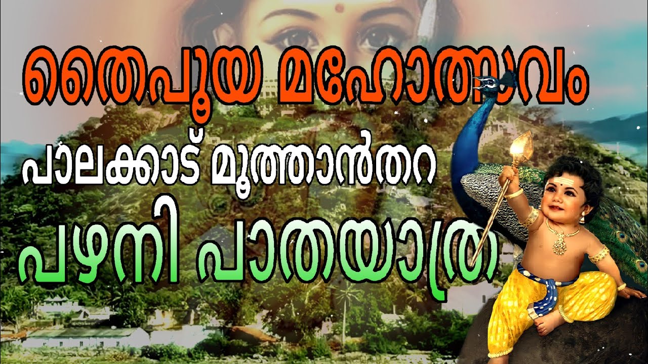 Palakkad Moothanthara Thaipooya Maholsavam, Kavadi Pooja, pazhani Paathayathra🙏🙏 | #sreekannakidesam