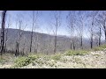 Goldie Spur 4WD Track - Vic High Country