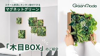 マグネットグリーン GM1861 3連｜フェイクグリーン 壁面緑化
