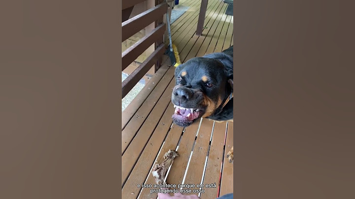 This woman is going to get bitten by the Rottweiler #shorts