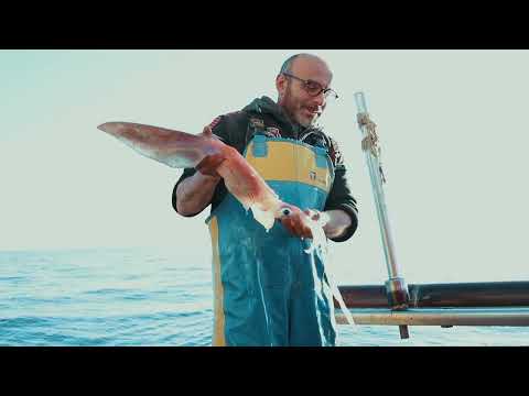 Micalusi-Real Fish Restaurants