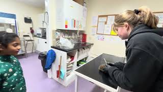Science with Joe/ Vale Wildlife Hospital and Rehabilitation Centre/ The Triage