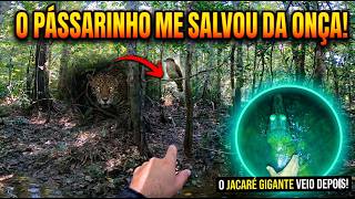 O PÁSSARINHO ME SALVOU DE ALGO QUE ME ACAMPANHAVA NA MARGEM MAS O JACARÉ VEIO PRA CIMA À NOITE!