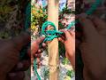 This knot is attractive. In the map of the world.!
