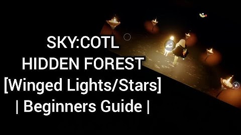 ALL(19) STARS/WINGED LIGHTS LOCATIONS in HIDDEN FOREST [ COMPLETE GUIDE ]