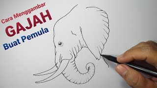 Cara Mudah Menggambar Gajah Untuk Pemula How To Draw Elephant For Beginner