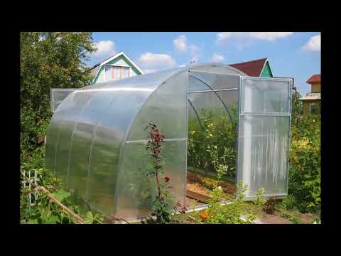 Видео: Как да изберем краставици