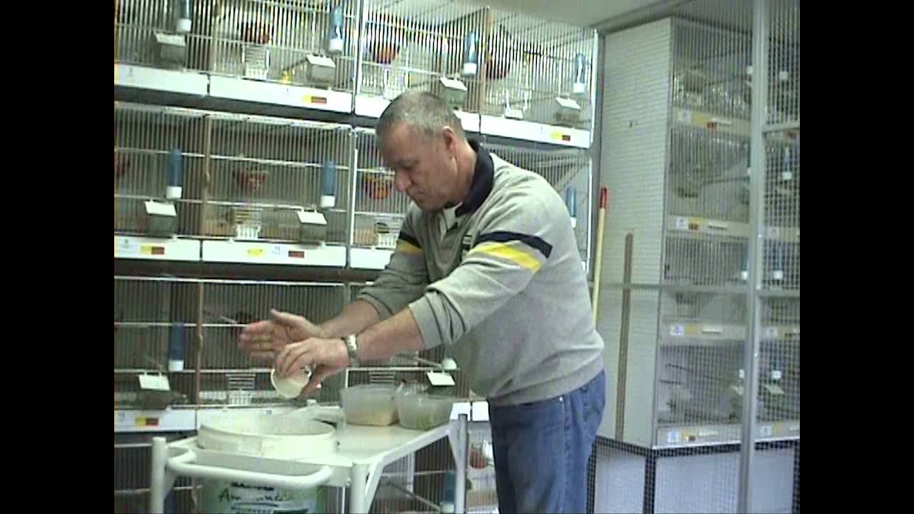 een dag in het hok van Harrie