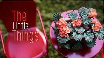 "The Little Things" Music Video (Official)