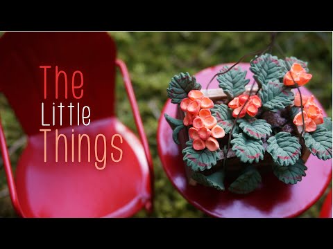 "The Little Things" Music Video (Official)
