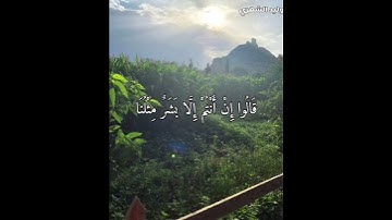 ( قالت رسلهم أفي الله شك ) سورة إبراهيم  .. وليد الشهري