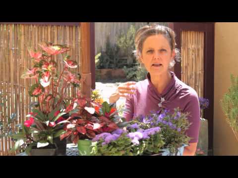 How to Make a Nice, Colorful Flower Garden : Beautiful Gardens & Plant Care