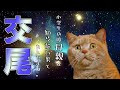 【猫ミーム】男癖の悪すぎる母親の話w　【Season1 総集編】