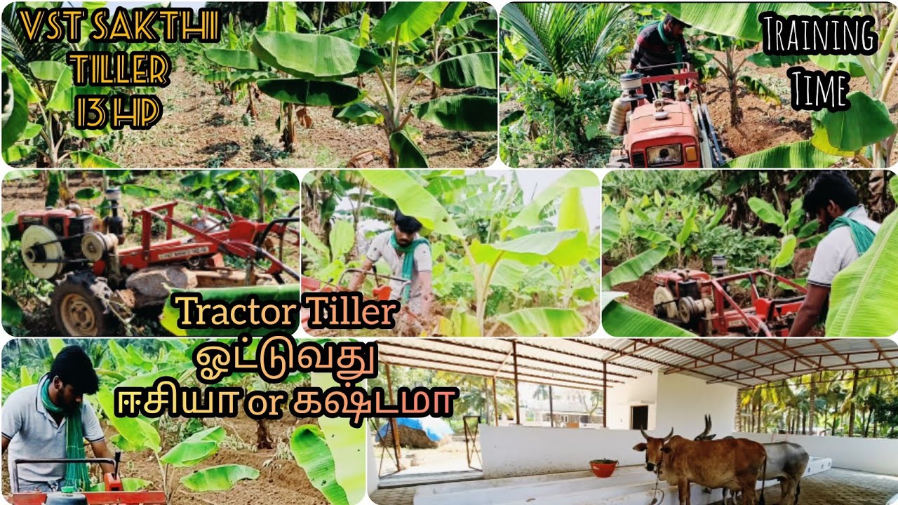 Vst Tiller Trainingஒரே நாளில் டிராக்டர் TILLER ஓட்டி பழகியாச்சு... கொஞ்சம் கஷ்டம் ஆனா