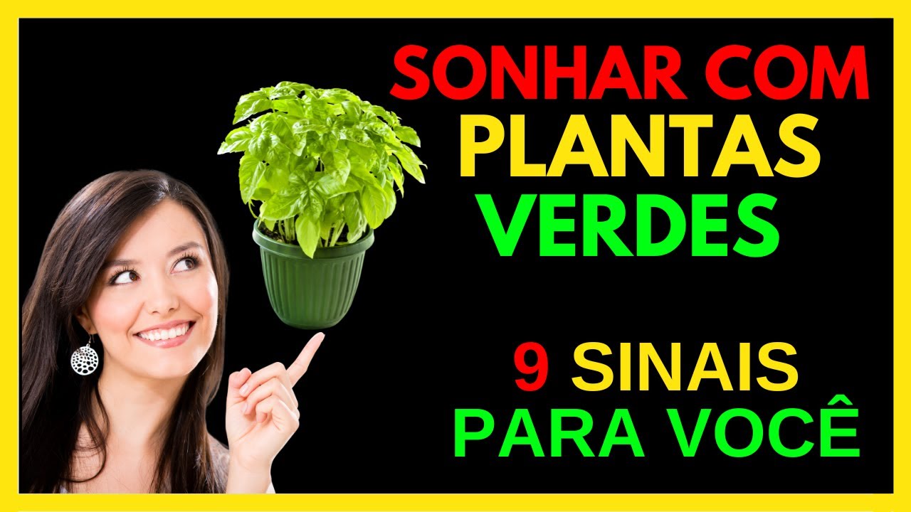 SONHAR COM PLANTAS VERDES - SAIBA JÁ O SIGNIFICADO - YouTube
