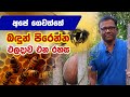       bee  ceylon agri  episode 367