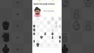 schaakmat