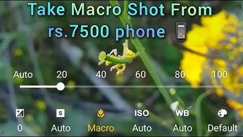 How to take Macro Shot from realme c11 2021 Best Camera Phone 📱 at rs 7500