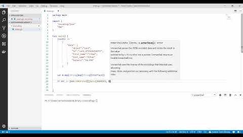 Golang Programlama : Go ile JSON Operasyonları