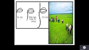 Class IV EVS | ST CLAIRE HIGH SCHOOL | Online Class | 20-10-2020 | www.stclairentpc.org